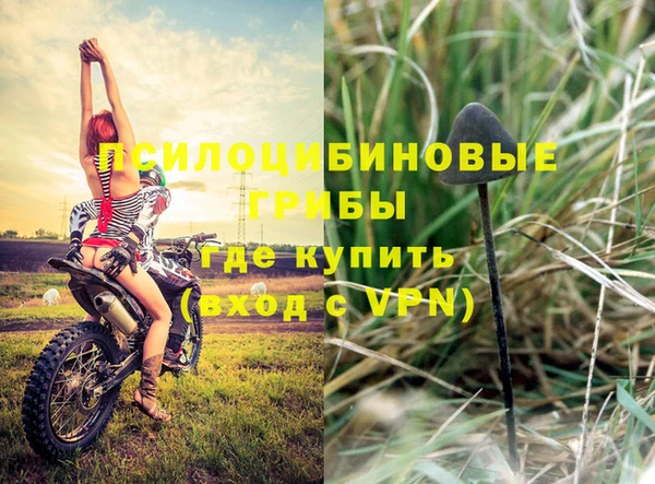 прущие крисы Козловка