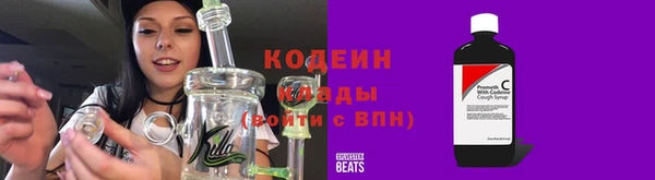 мдпв Киренск