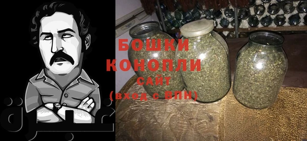 прущие крисы Козловка