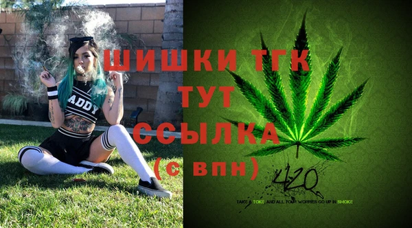 ECSTASY Козельск