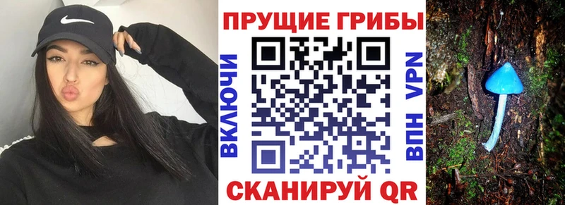 Купить  Лукоянов  Галлюциногенные грибы GOLDEN TEACHER 